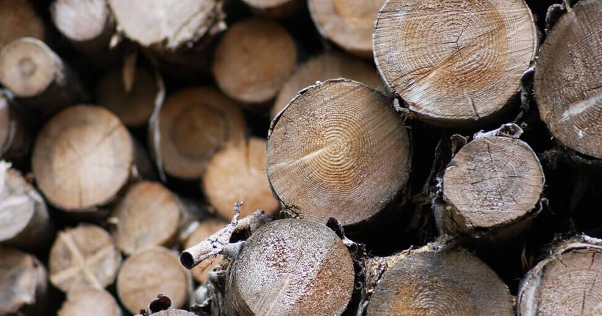 Trouver du bois de chauffage pour cet hiver